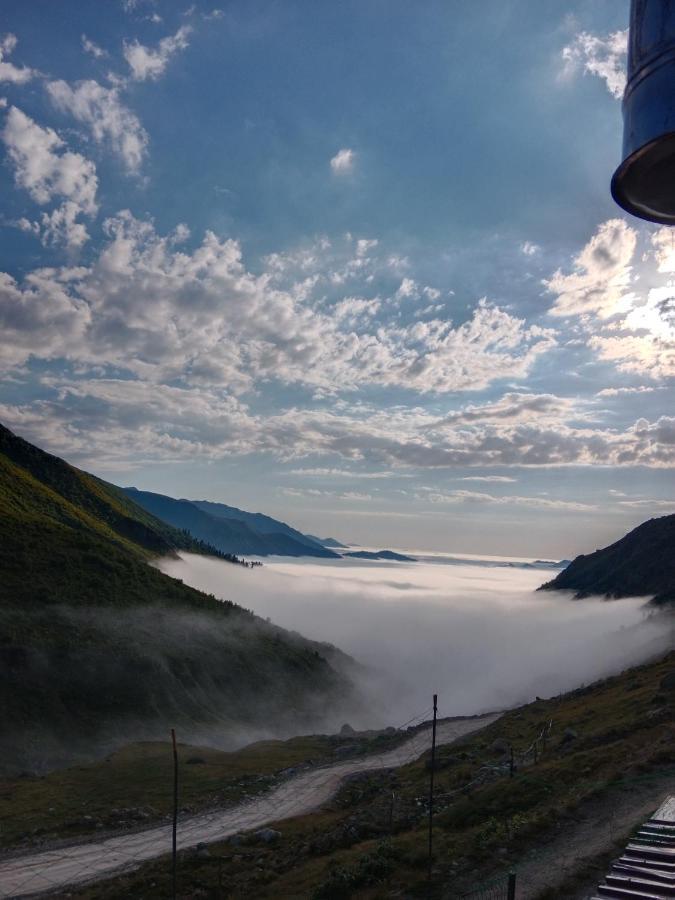 Avusor Mola Cafe Ve Pansiyon Çamlıhemşin Exteriör bild
